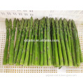 frozen green asparagus of good quality for export